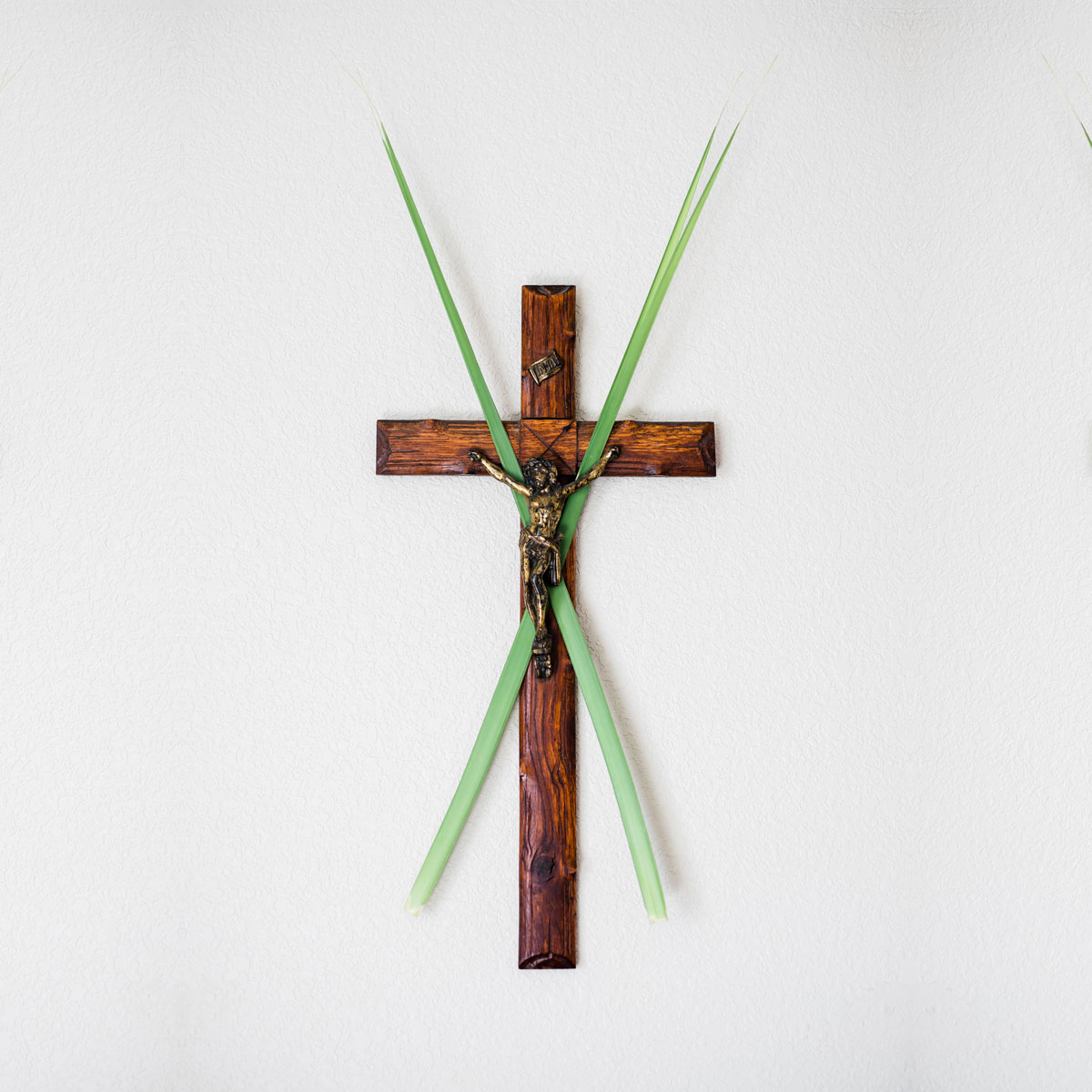 Palm Sunday palms behind a crucifix